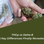 thcp vs delta 8