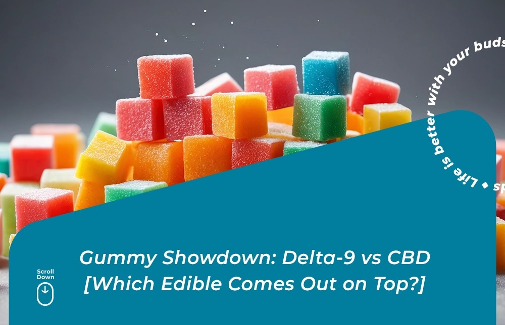 delta 9 vs cbd gummies