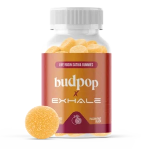 SHOP D9 Live Rosin Sativa Gummies