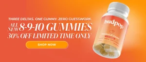 THC gummies vs tinctures: onset, duration, bioavailability, and which one fits your routine | BudPop