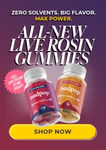 Best live rosin gummies in 2026: 5 solventless picks that actually passed COA verification | BudPop