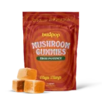 Aura Mushroom Gummies - Mango