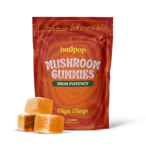 Aura Mushroom Gummies - Mango