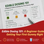 Edible dosing 101 a beginner guide to getting your first gummy right