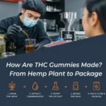 How Are THC Gummies Made 5 Steps From Hemp Plant to Package (2026 Guide)