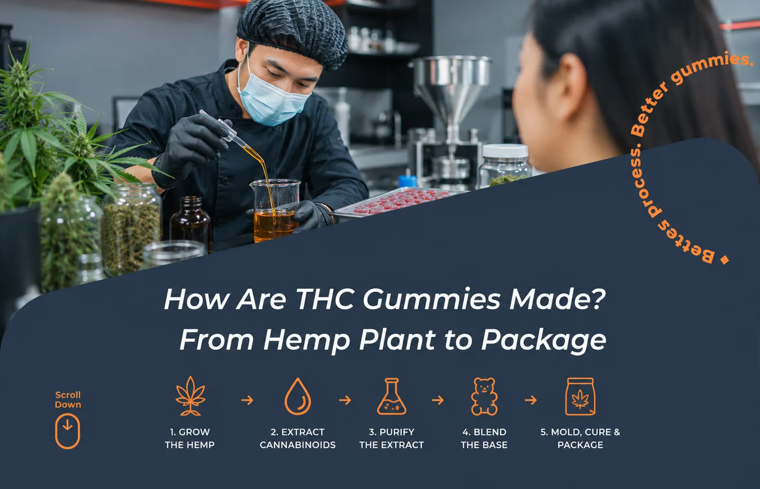 How Are THC Gummies Made 5 Steps From Hemp Plant to Package (2026 Guide)