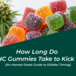 How long do THC gummies take to kick in An honest onset guide