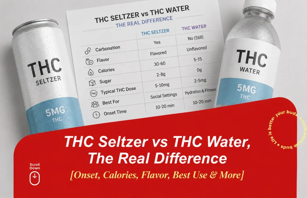 THC Seltzer vs THC Water 5 Real Differences You Should Know in 2026