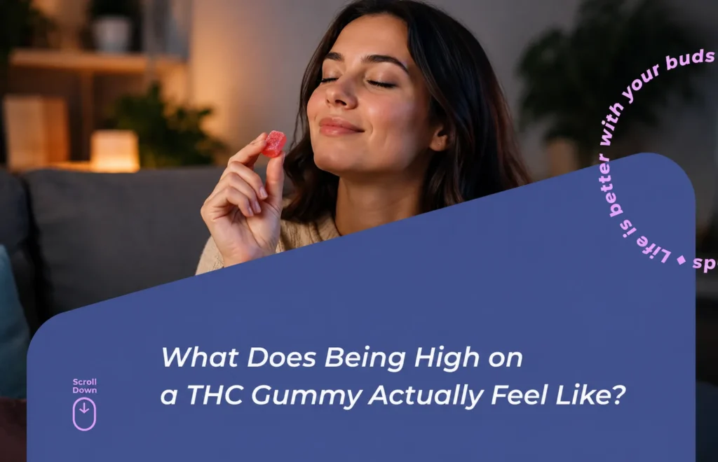 What Does a THC Gummy High Feel Like? Beginner Effects Explained