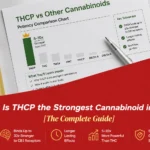 Why Is THCP Considered the Strongest Cannabinoid in 2026 A Complete Guide