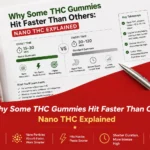Why some THC gummies hit faster than others nano THC explained