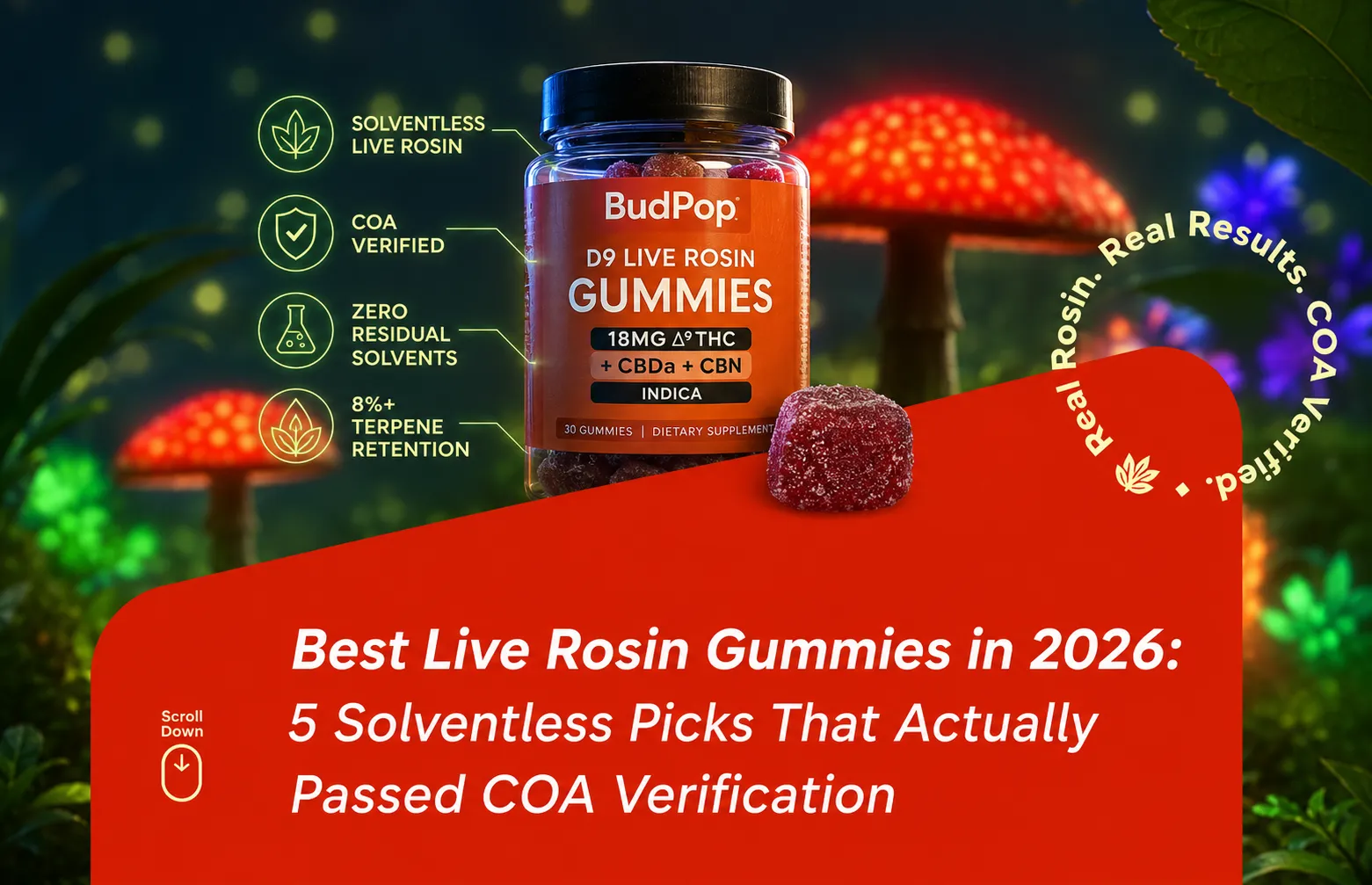 Best live rosin gummies in 2026 5 solventless picks that actually passed COA verification