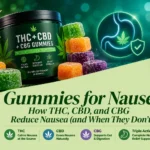 Gummies for nausea how THC, CBD, and CBG reduce nausea (and when they don't)