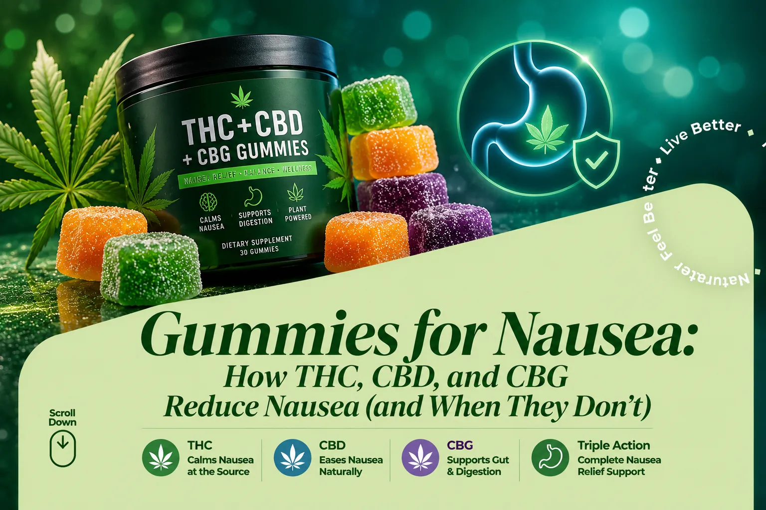 Gummies for nausea how THC, CBD, and CBG reduce nausea (and when they don't)