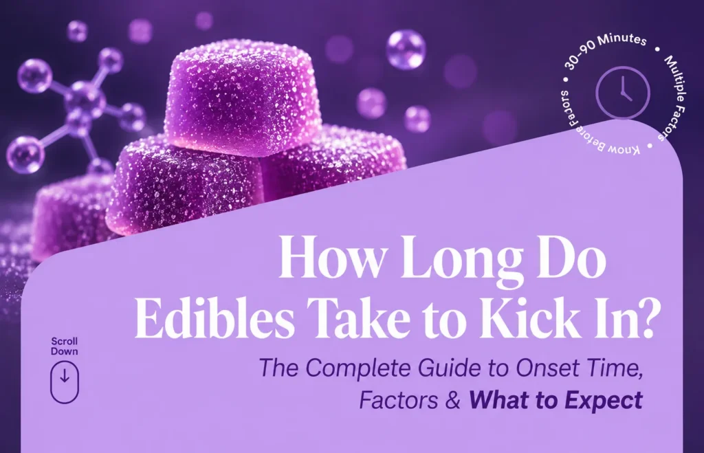 How Long Do Edibles Take to Kick In 30–90 Minutes Explained