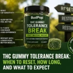 THC gummy tolerance break: when to reset, how long, and what to expect