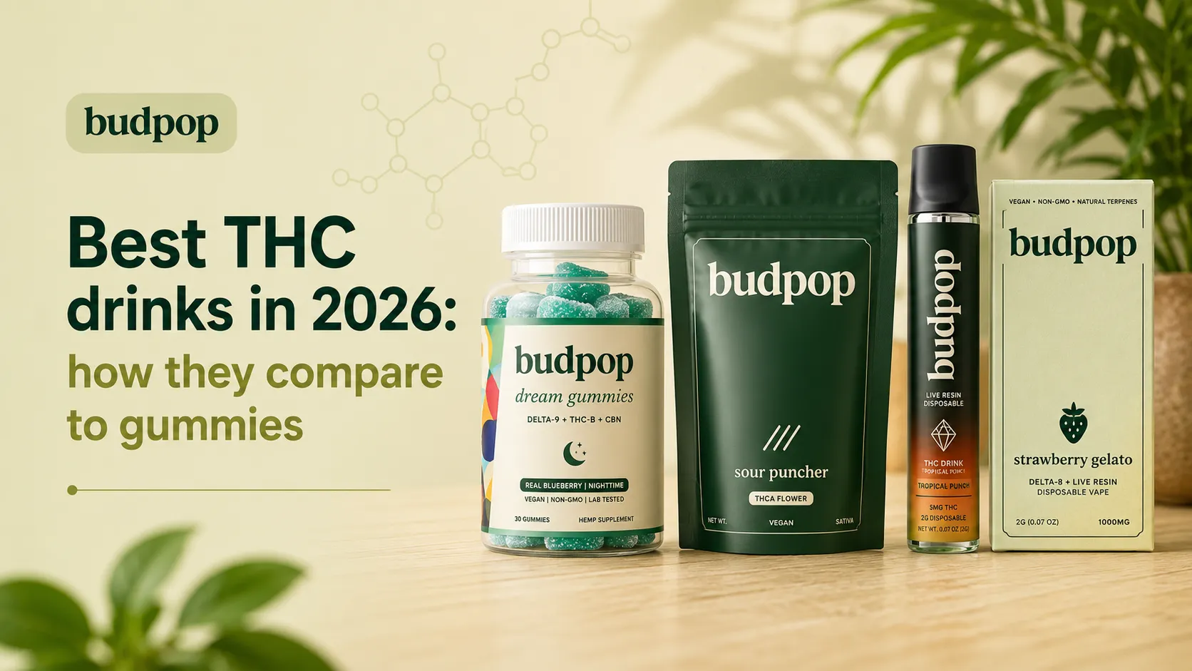 Best THC drinks in 2026