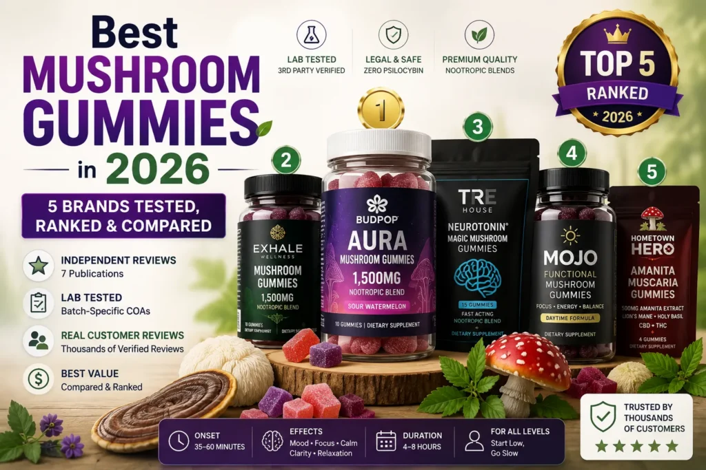 Home Best mushroom gummies in 2026 5 brands tested, ranked, and compared