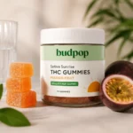Best sativa gummies in 2026