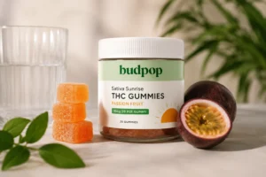 Best sativa gummies in 2026: energy strains ranked for daytime focus and creativity Best sativa gummies in 2026