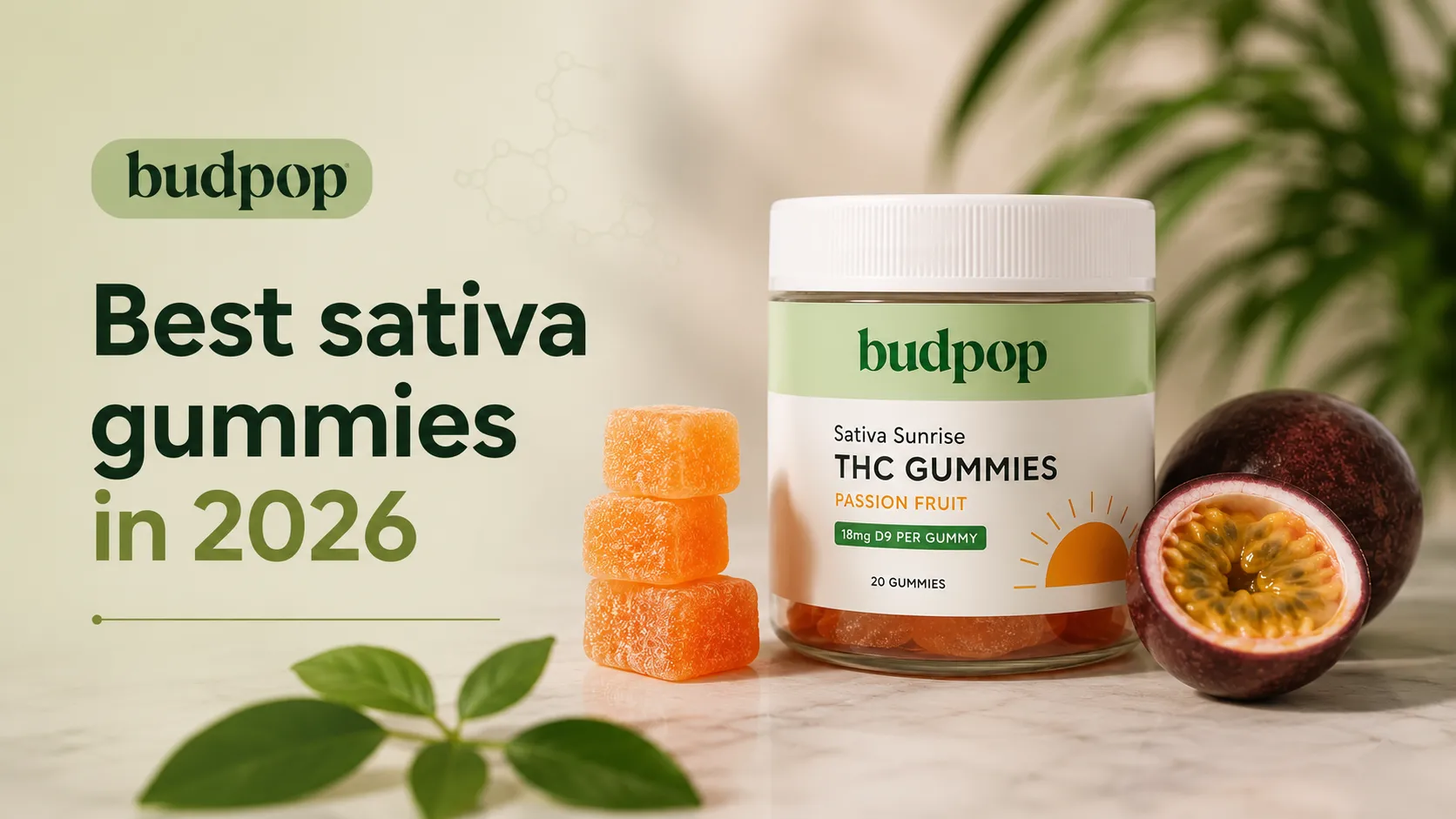 Best sativa gummies in 2026 energy strains ranked for daytime focus and creativity