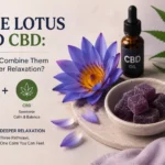 Blue lotus and CBD: can you combine them for deeper relaxation?