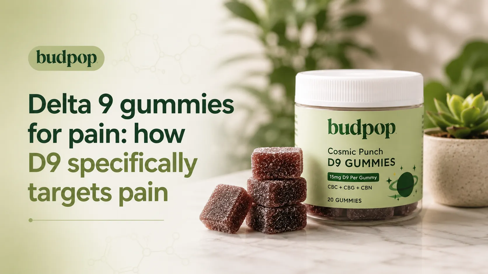 Delta 9 gummies for pain how D9 specifically targets pain