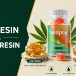 Live resin vs cured resin