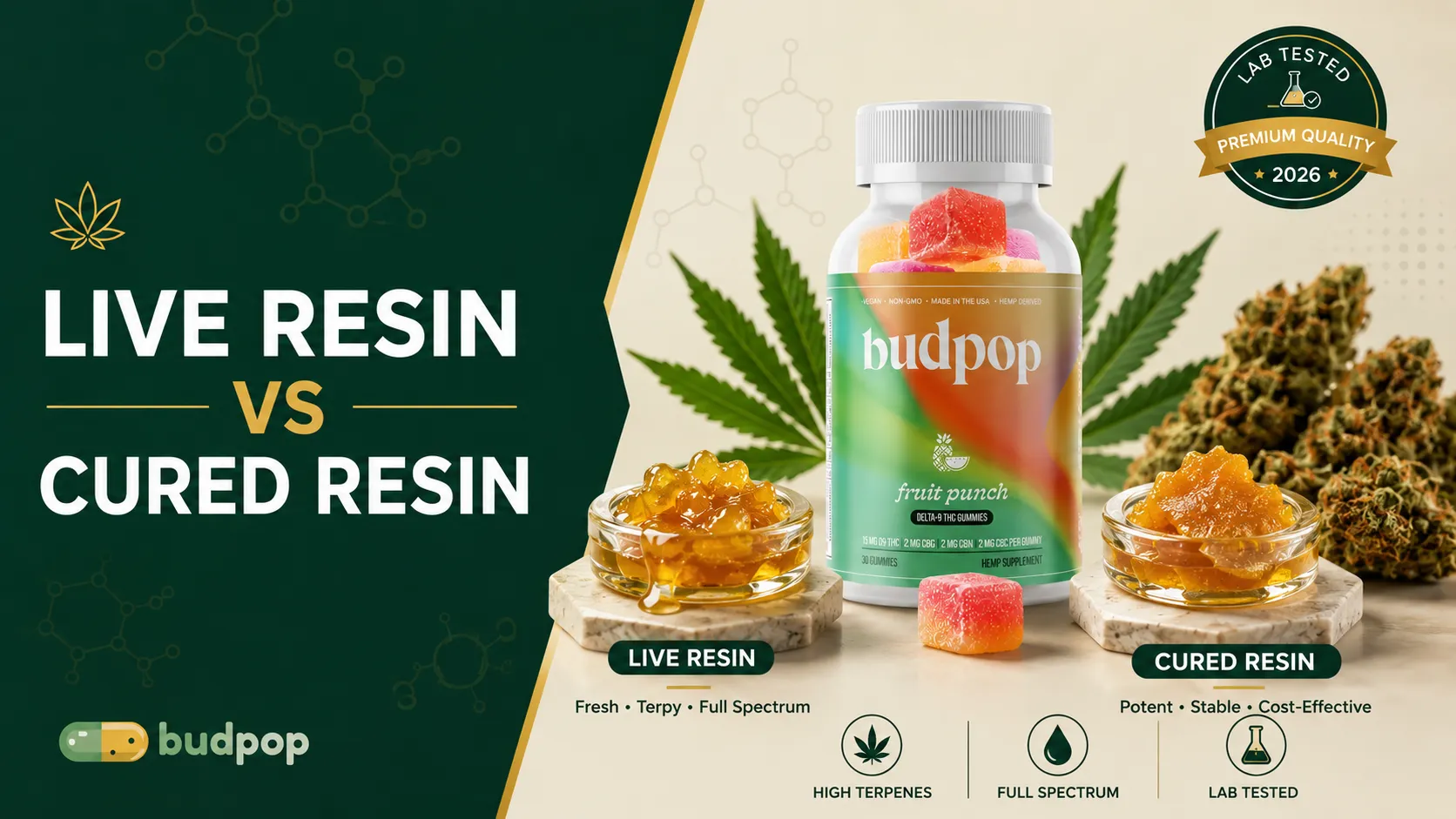 Live resin vs cured resin