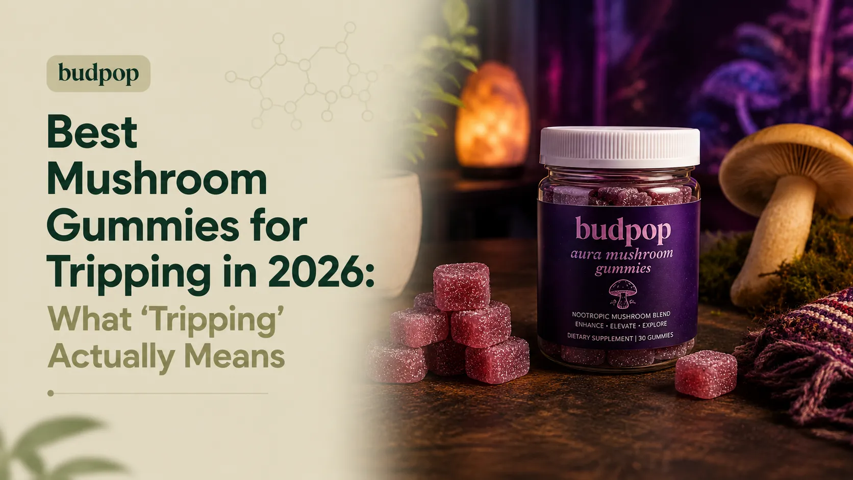 Best Mushroom Gummies for Tripping in 2026 What 'Tripping' Actually Means