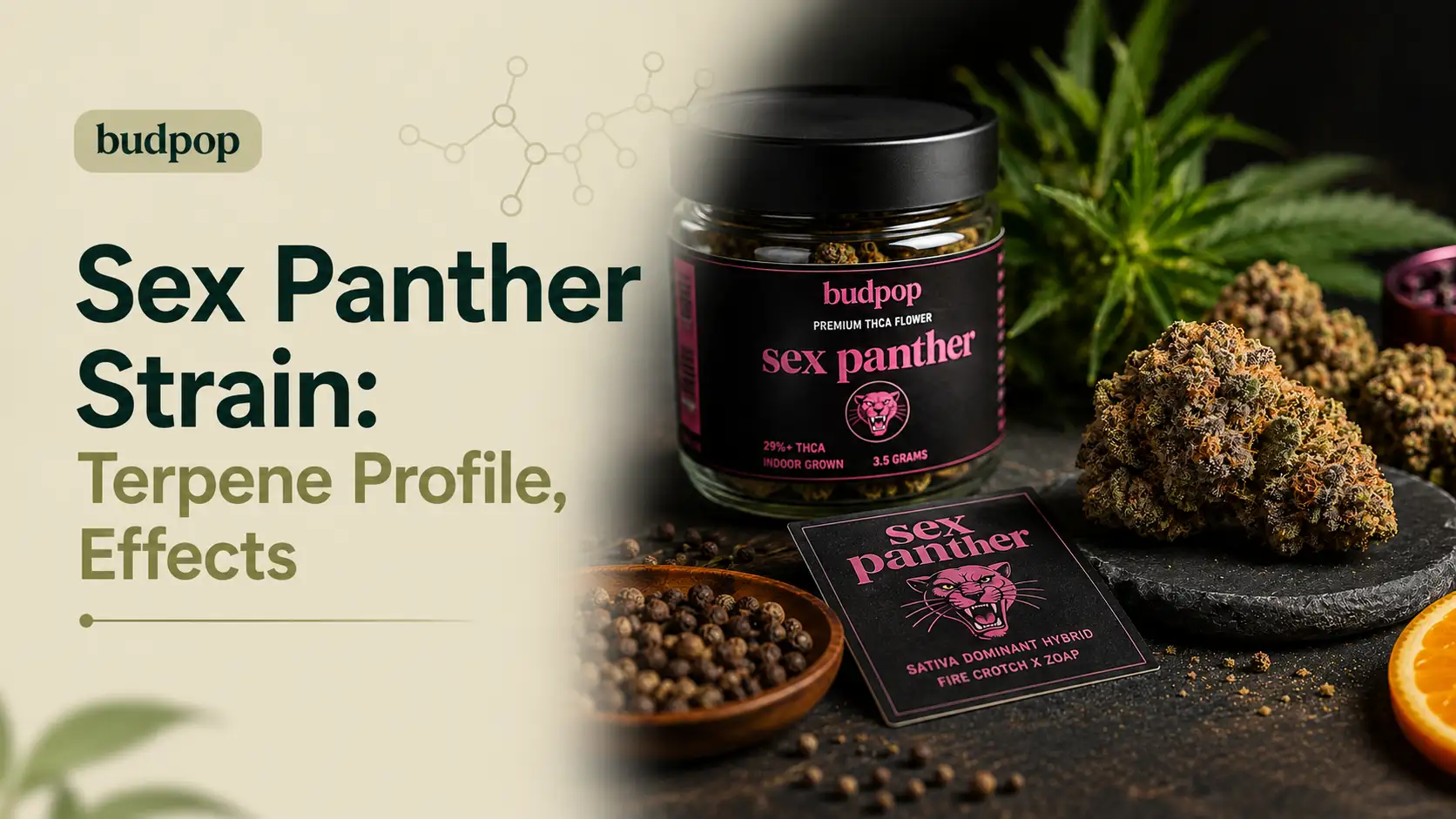 Sex Panther Strain Terpene Profile, Effects