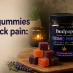 THC gummies for back pain how cannabinoids target spinal, muscular, and nerve-based back pain