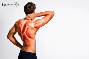 back pain and which cannabinoids