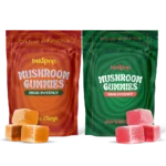 Aura Mushroom Gummies - Variety Pack